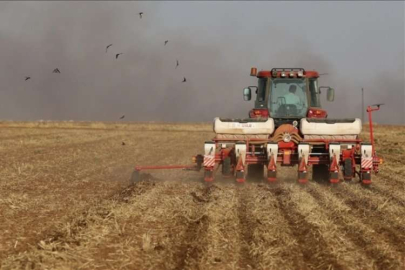 Tarımsal tarımsal girdi fiyat endeksi yıllık %49,70 arttı