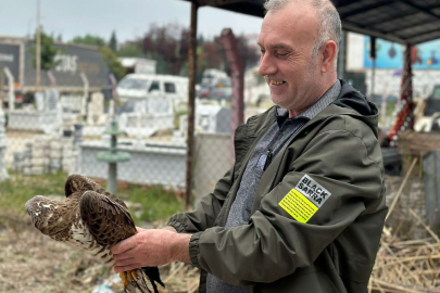 Bursa’da şahin yaralandı!O şahine yardıma koştu