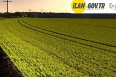 Samsun Atakum'da 497 m² arsa mahkemeden satılıktır