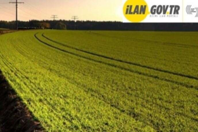 Nevşehir Uçhisar'da 1.048 m² arsa mahkemeden satılıktır