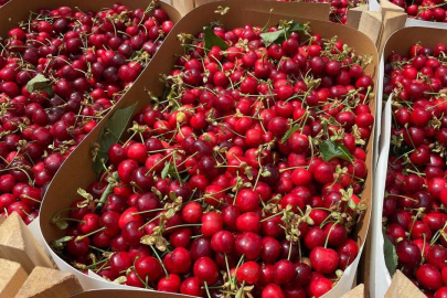 Bursa İznik'te  kiraz ve erik satışa çıktı