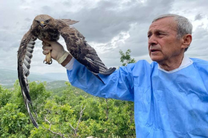 Kemik nakliyle sağlığına kavuştu, ardından doğaya salındı