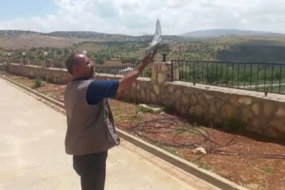 Okulda mahsur kalan güvercini çalışanlar kurtardı