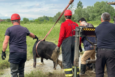 Su kuyusuna düşen ineklere kurtarma operasyonu