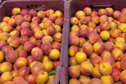 60 lira olan kayısının kilosu 8 liraya kadar düştü