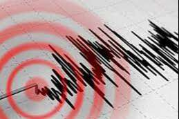 Bursa Gürsu'da deprem!