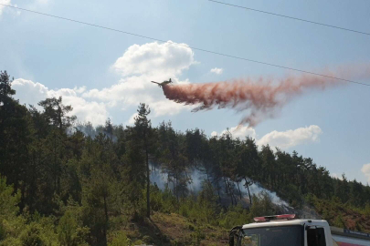 Bursalılar dikkat! Ormanlara giriş çıkışlar ve ateşli piknik yasaklandı