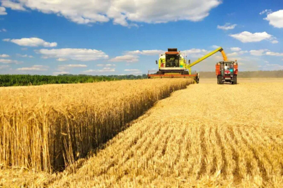 Tarımsal destekleme ödemeleri bugün hesaplarda