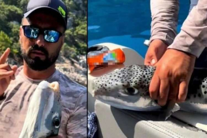 Tenekeyi kraker gibi yedi!