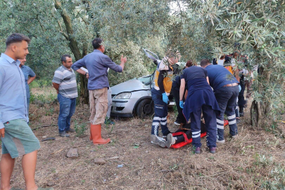 Otomobil zeytinliğe daldı: 1 ölü, 1 yaralı