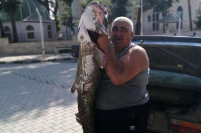 2 metre boyunda ve 30 kg ağırlığında yayın balığı yakaladı