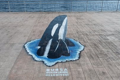 Görenler şaşırıyor! Sokaklar 3 boyutlu sanatla değişti