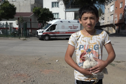 İzleyenleri kahkahalara boğan görüntüler  Alo acil 112'den!  Yaralı tavuğa ilk müdahaleyi yaptılar