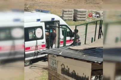 Alo acil 112 tavuğum yaralandı