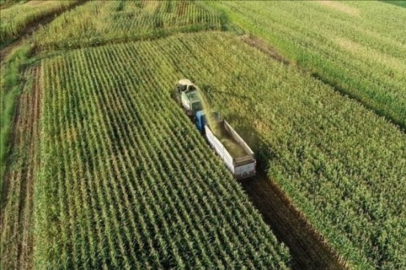 Çiftçilere ödenecek tarımsal destekler belli oldu