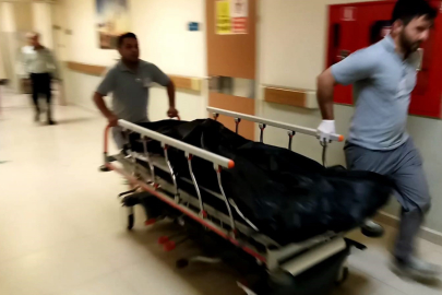 Tarlada çalışırken arı soktu!