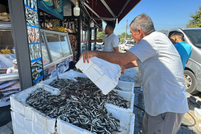 Hamsi 20 TL'ye düştü