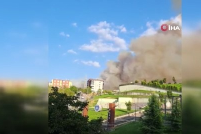 Bursa’daki orman yangınına havadan böyle müdahale edildi