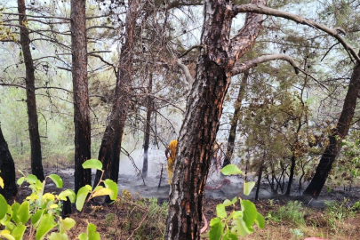 Hatay'da çıkan orman yangını kontrol altına alındı