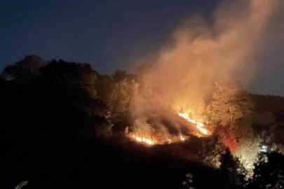 Kocaeli'nde anız yangını ormana sıçramadan söndürüldü