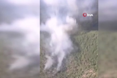 Kütahya'daki orman yangını için Bursa'da da seferberlik
