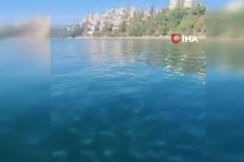 Marmara’nın güney kıyılarını denizanası istila etti