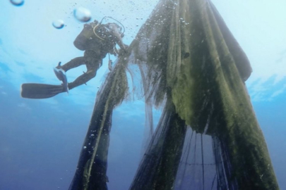 Temizlenen hayalet ağlar sayesinde 2 milyonu aşkın balığın ölümü engellendi