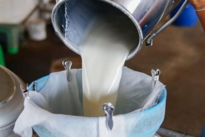 Süt üretimi ağustosta yüzde 8 azaldı