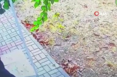 Hırsız kamerada..."Tatile gideyim" derken, cezaevine gitti