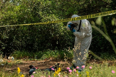 Balıkesir'de ormanlık alanda vahşet: Erkek cesedi bulundu