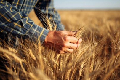 Orhangazi'de tarım ve hayvancılığı atağa kaldıracak proje!