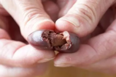 Sabahları 3 zeytin çekirdeği yutun, bir ömür rahat olun...