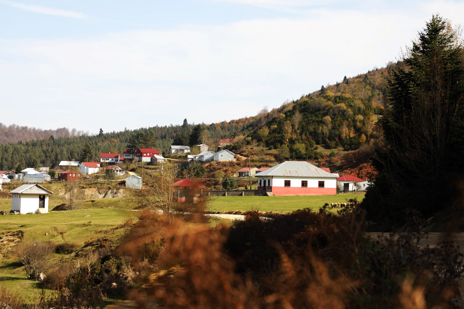 İstanbul'un yanı başında: Eşsiz manzara, bol oksijen