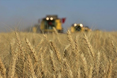 Tarımsal destekleme ödemeleri çiftçilerin hesaplarına bugün aktarılacak