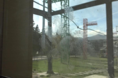 Biri bankta oturdu, diğeri yemeye doymadı! İşyerlerini basan ayıların et keyfi kamerada