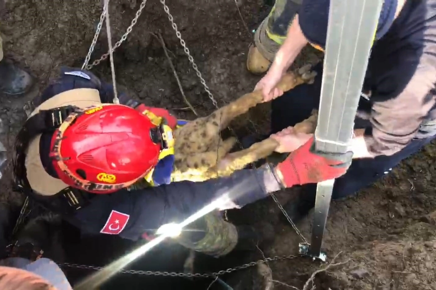 Su kuyusunda 4 gün mahsur kalan kuzuyu itfaiye ekipleri kurtardı