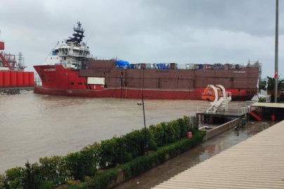 Kuru yük gemisi kıyıya vurdu