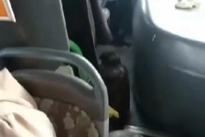 Dolmuşta şok eden yolculuk! Yırtıcı kuşla...