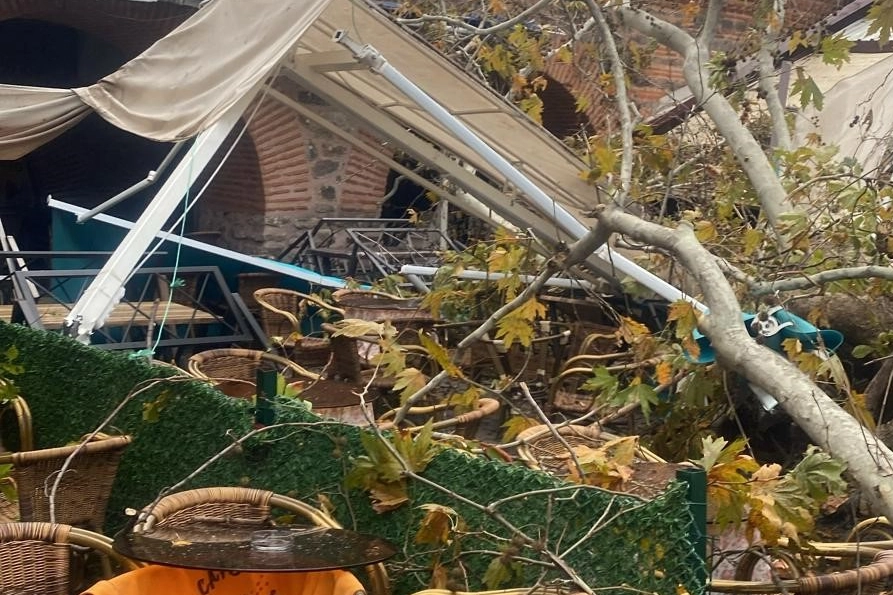 Tarihi Kozahan'da 250 yaşındaki tarihi çınar fırtınaya dayanamadı