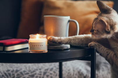 Evde yapılabilecek etkinlikler