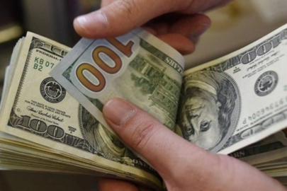 Dolar 29 TL'ye dayandı!