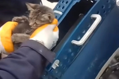 Yüzleri güldüren,yürek ısıtan kurtarma operasyonu: İtfaiye ekipleri kurtardı