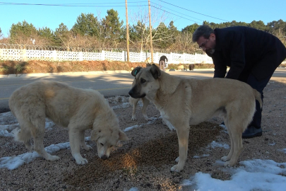 Şahinoğlu: “Yerdekilere siz merhamet edin ki, gökteki de size merhamet etsin”