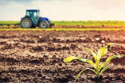 Tarım ve Orman Bakanlığı'ndan Büyük Fırsat: 1500 Tarım İşçisi Alımı Yapılacak