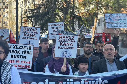 Doktorların İsrail'e karşı "sessiz yürüyüşü" devam ediyor