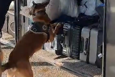 Yolcu Otobüsünde Büyük Uyuşturucu Operasyonu: 11.65 Kilogram Skunk Ele Geçirildi