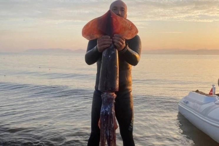 Balıkesir'de dev uçan kalamar avı!