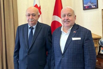 Samsun ve Gürcistan arasında iş birliği çalışmaları