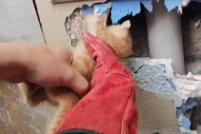 İtfaiye ekipleri sıkışan yavru kediyi böyle kurtardı