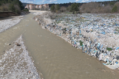 Burası Afrika Değil!